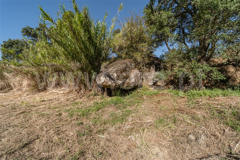 Terreno Rústico  com Rústico Fundão, Pêro Viseu - 1502631 - 17