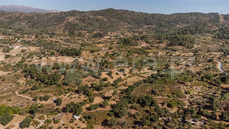Terreno Rústico  com Rústico Fundão, Pêro Viseu - 1502631 - 23
