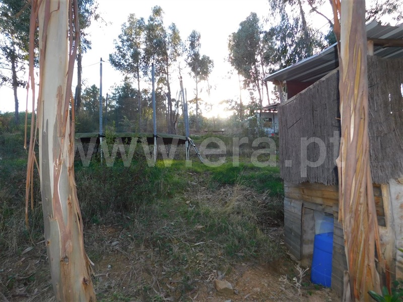 Terreno Rústico  Fundão, Quintas da Torre - 1213984 - 11