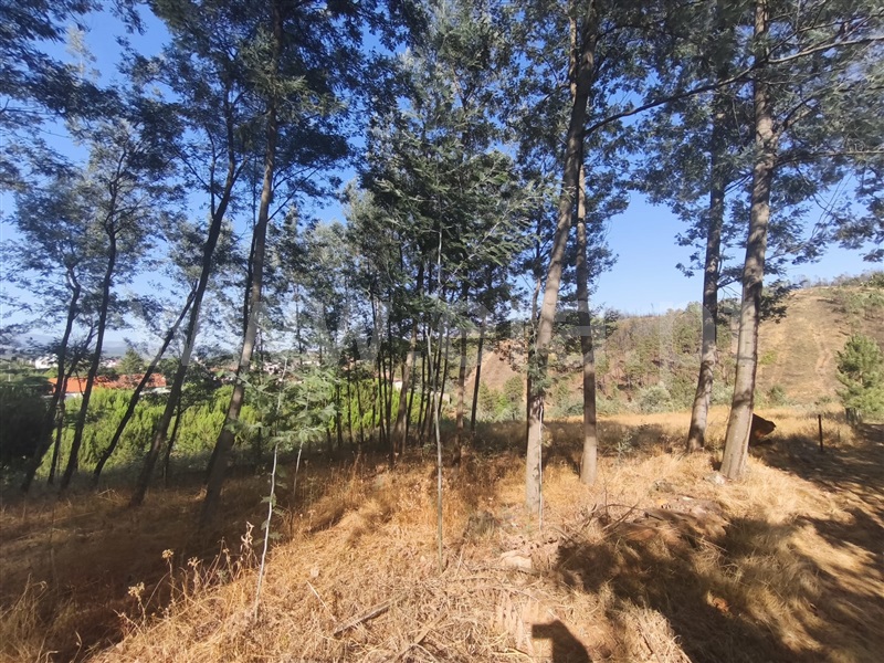 Terreno Rústico  Fundão, Silvares - 1494522 - 8