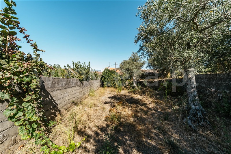 Terreno Rústico / Fundão, Souto da Casa