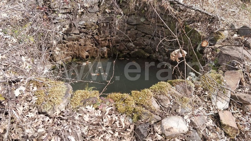 Terreno Rústico  Fundão, Vales Pêro Viseu - 1236117 - 3