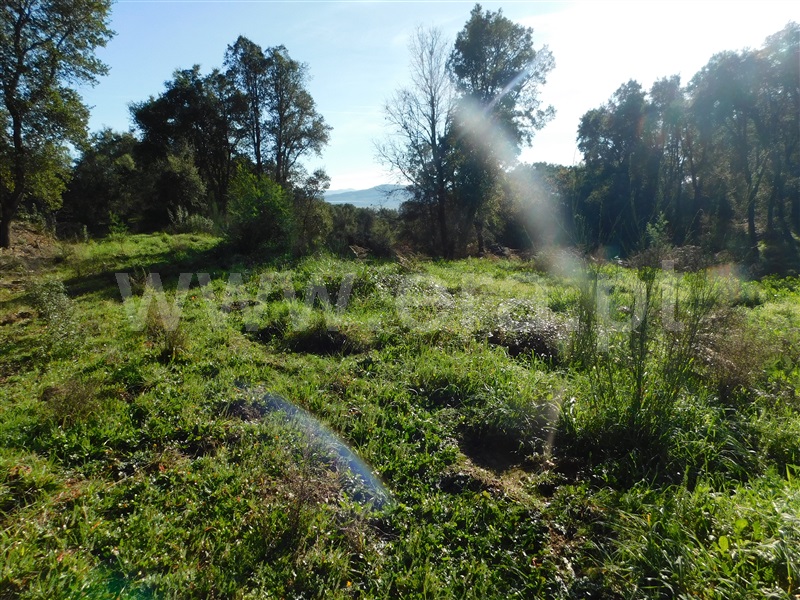 Terreno Rústico  Fundão, Vales Pêro Viseu - 1298726 - 4
