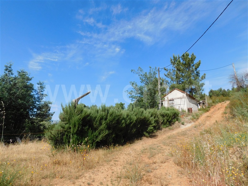 Terreno Rústico  Fundão, Vales Pêro Viseu - 1316477 - 2