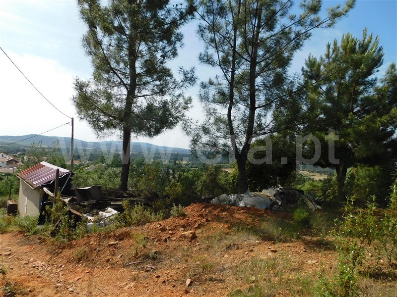 Terreno Rústico  Fundão, Vales Pêro Viseu - 1316477 - 9