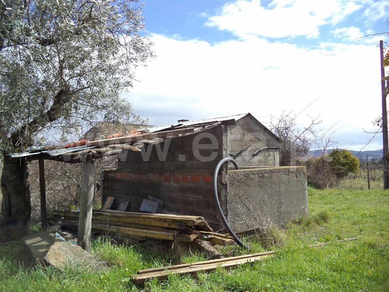 Terreno Rústico  Fundão, Vales Pêro Viseu - 1469410 - 6