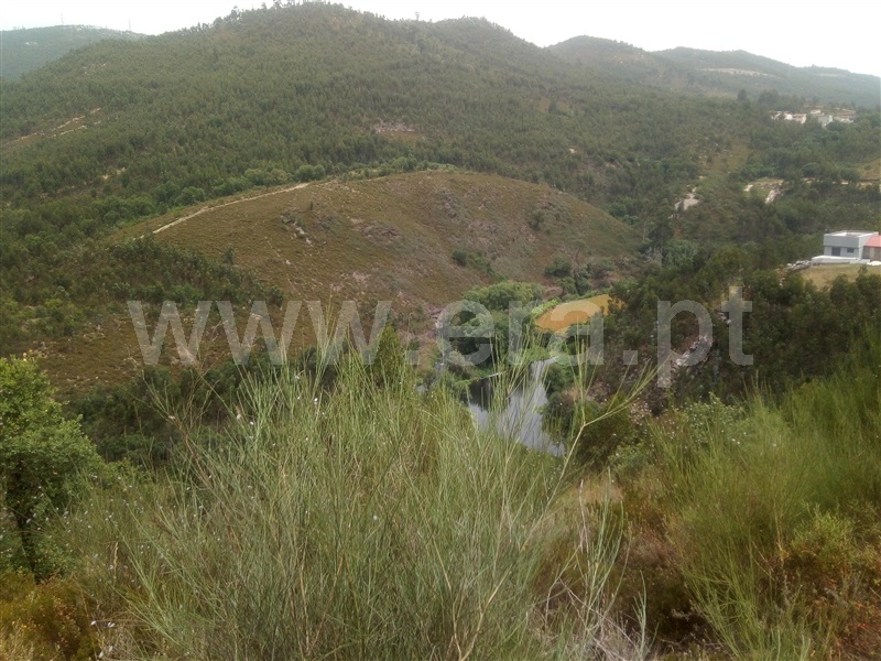 Terreno Rústico  Gondomar, SPC 2 - 1250767 - 2