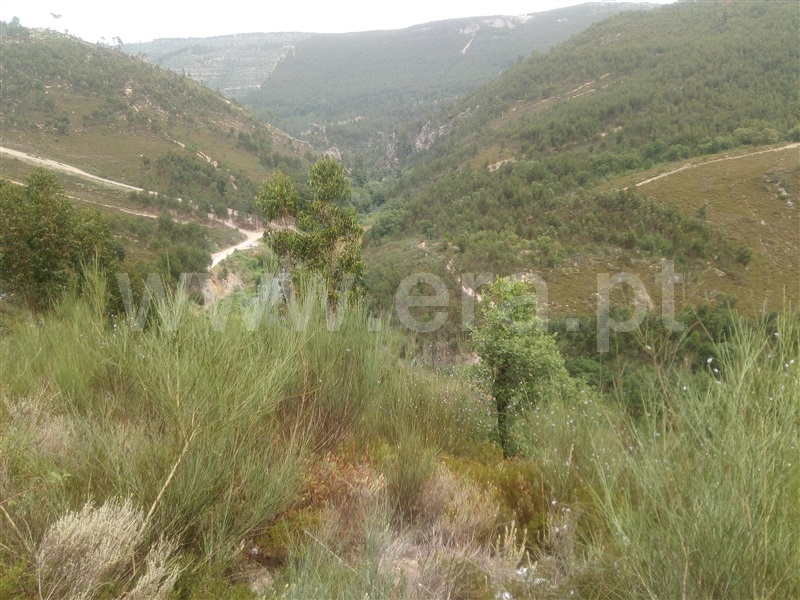 Terreno Rústico  Gondomar, SPC 2 - 1250767 - 3