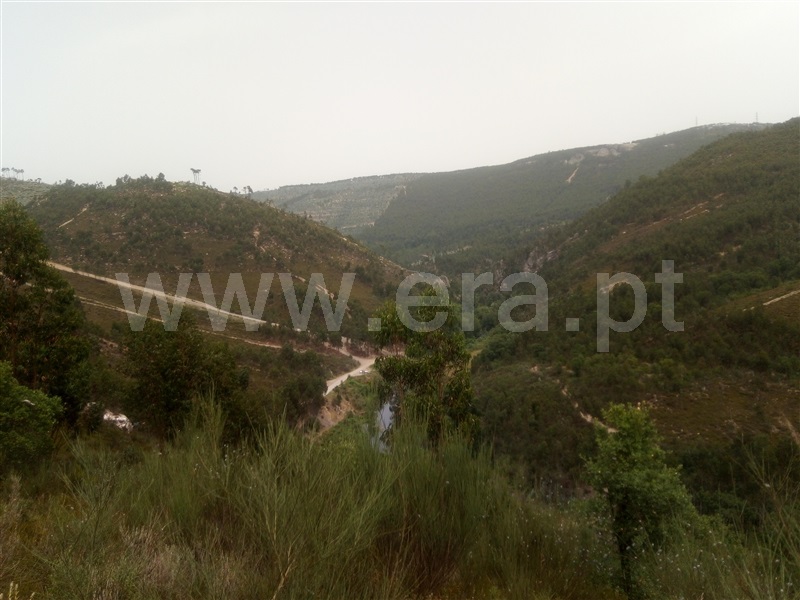 Terreno Rústico  Gondomar, SPC 2 - 1250767 - 4