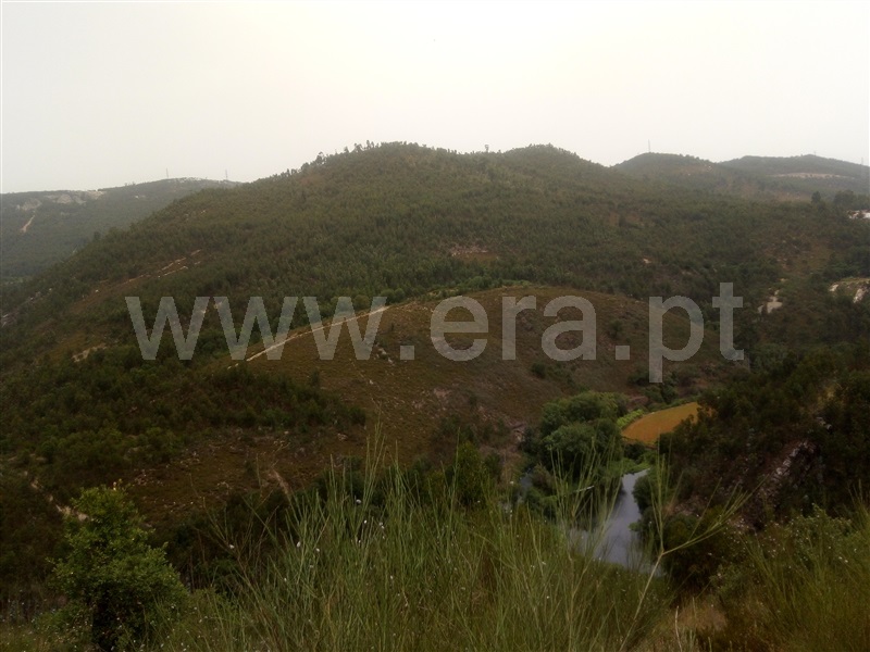 Terreno Rústico  Gondomar, SPC 2 - 1250767 - 5