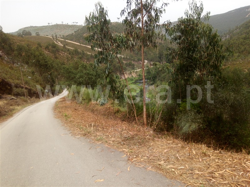 Terreno Rústico  Gondomar, SPC 2 - 1250767 - 8