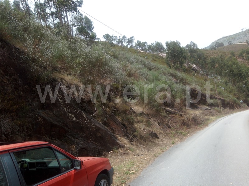 Terreno Rústico  Gondomar, SPC 2 - 1250767 - 9