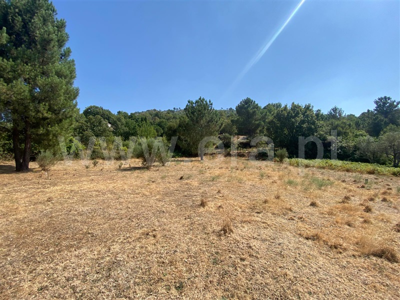Terreno Rústico / Gouveia, Aldeias e Mangualde da Serra