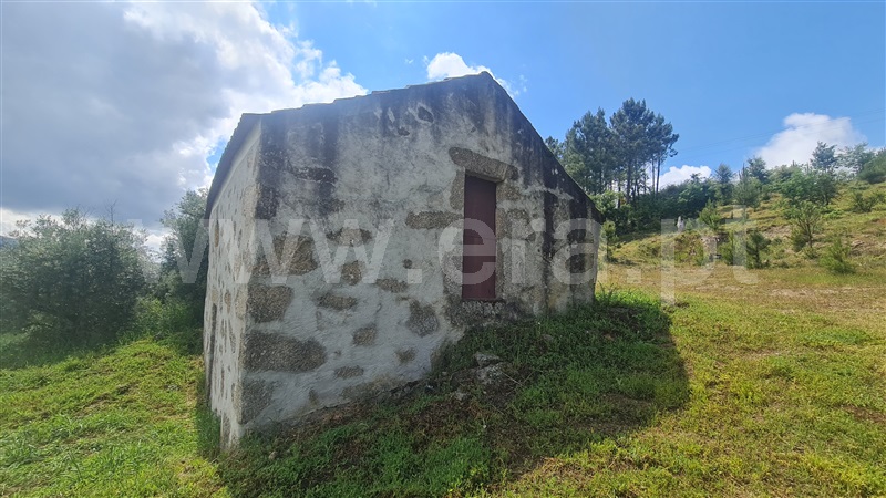 Terreno Rústico  Gouveia, Figueiró da Serra e Freixo da Serra - 1410460 - 4