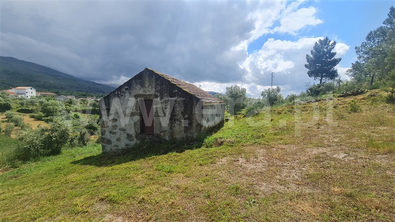Terreno Rústico  Gouveia, Figueiró da Serra e Freixo da Serra - 1410460 - 5