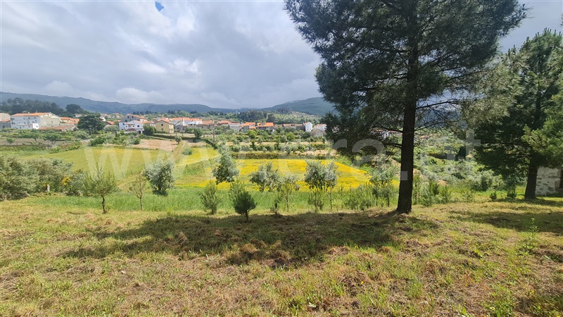 Terreno Rústico  Gouveia, Figueiró da Serra e Freixo da Serra - 1410460 - 8