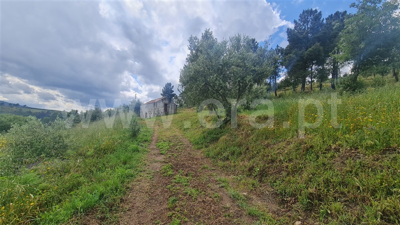 Terreno Rústico  Gouveia, Figueiró da Serra e Freixo da Serra - 1410460 - 18