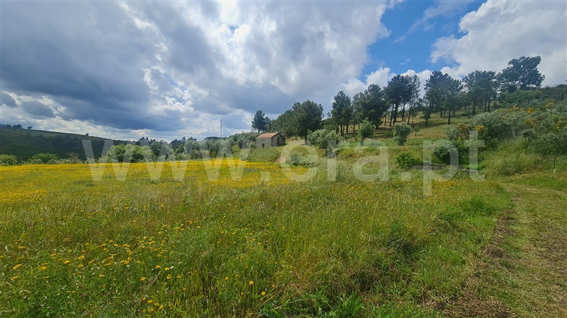 Terreno Rústico  Gouveia, Figueiró da Serra e Freixo da Serra - 1410460 - 19