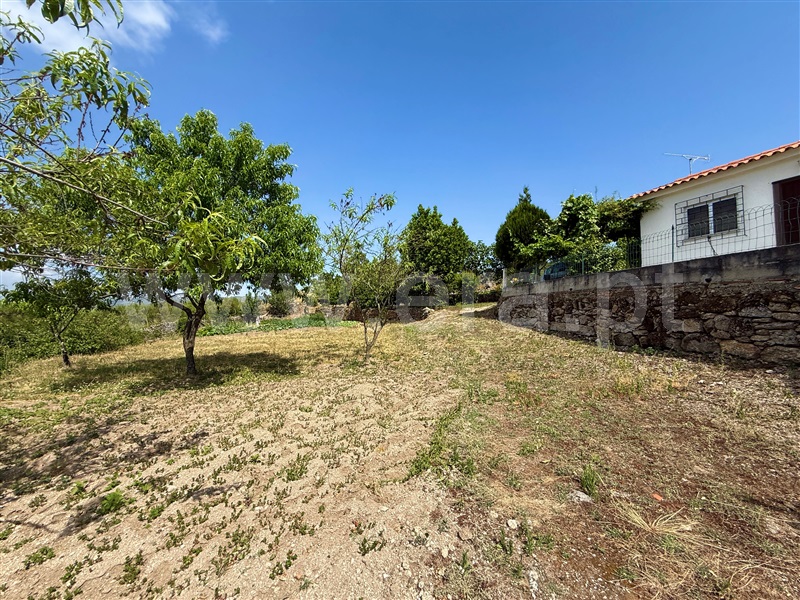 Terreno Rústico T1 Gouveia, Figueiró da Serra e Freixo da Serra - 1489301 - 2