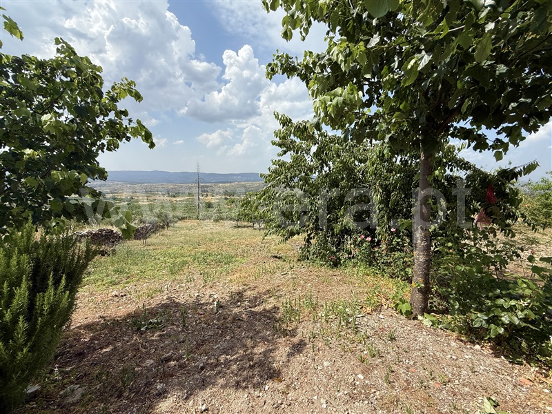 Terreno Rústico T1 Gouveia, Figueiró da Serra e Freixo da Serra - 1489301 - 11