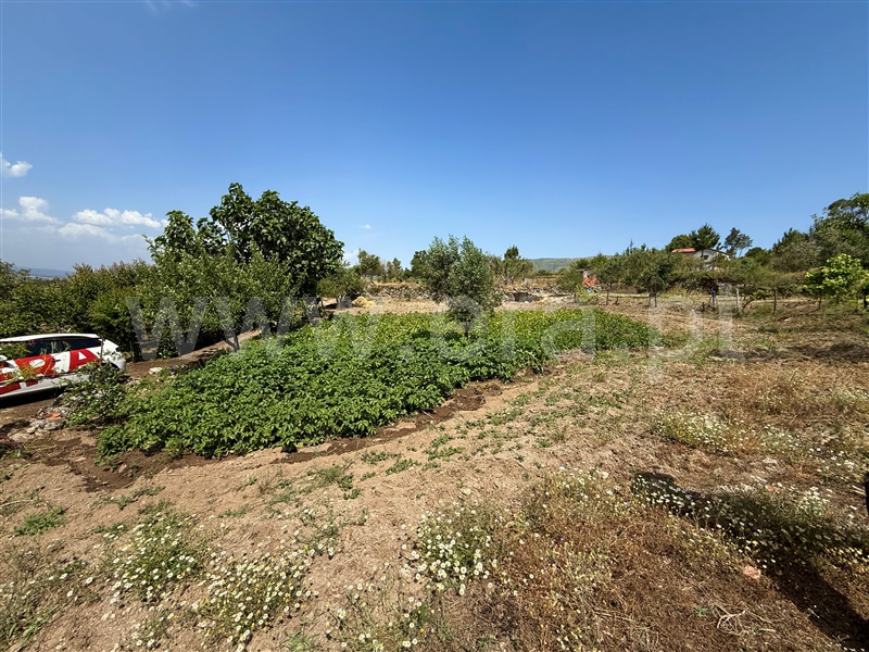 Terreno Rústico T1 Gouveia, Figueiró da Serra e Freixo da Serra - 1489301 - 12