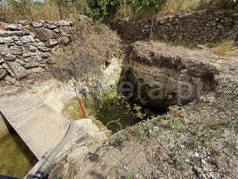 Terreno Rústico T1 Gouveia, Figueiró da Serra e Freixo da Serra - 1489301 - 13