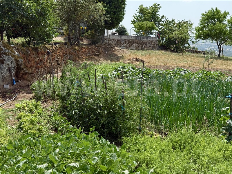 Terreno Rústico T1 Gouveia, Figueiró da Serra e Freixo da Serra - 1489301 - 16