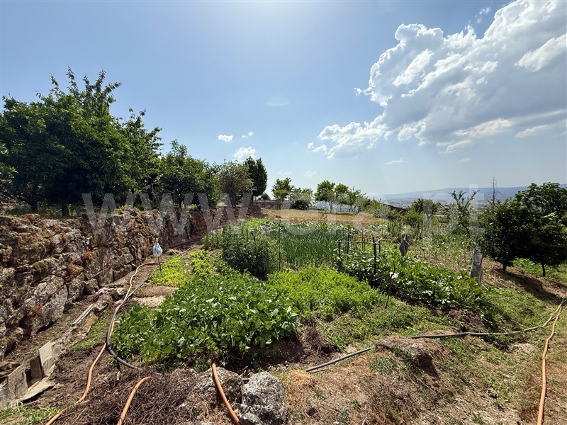 Terreno Rústico T1 Gouveia, Figueiró da Serra e Freixo da Serra - 1489301 - 17