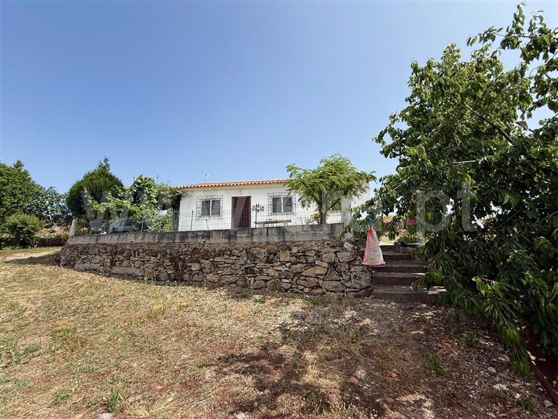 Terreno Rústico T1 Gouveia, Figueiró da Serra e Freixo da Serra - 1489301 - 19