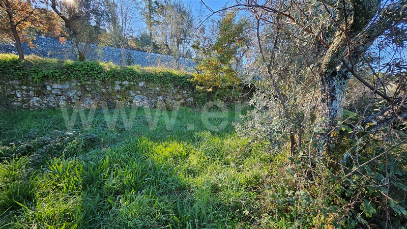 Terreno Rústico  Gouveia, Gouveia - 1448253 - 10