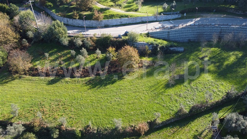 Terreno Rústico  Gouveia, Gouveia - 1448253 - 11
