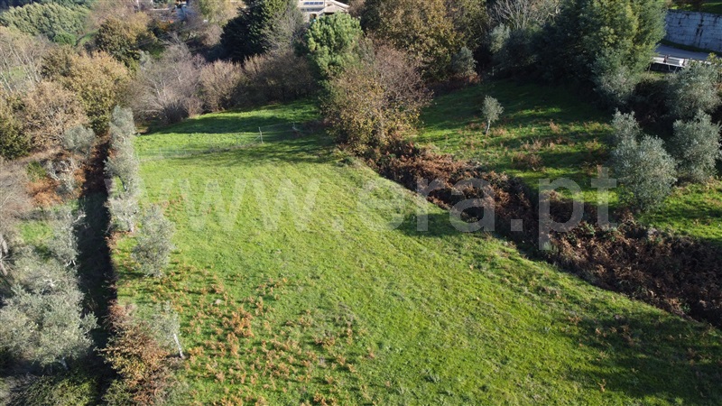 Terreno Rústico  Gouveia, Gouveia - 1448253 - 29