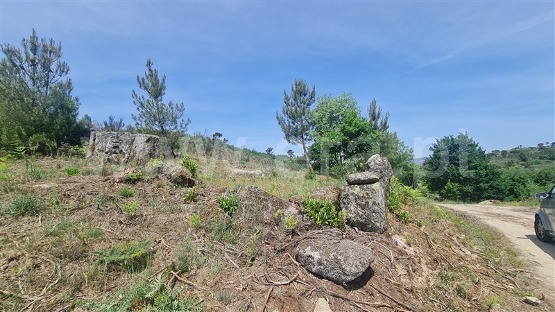 Terreno Rústico  Gouveia, Rio Torto e Lagarinhos - 1327418 - 10
