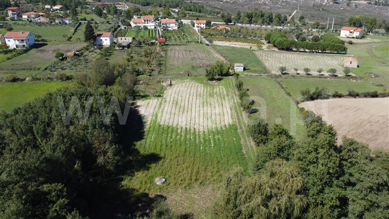 Terreno Rústico  Gouveia, São Paio - 1356714 - 4