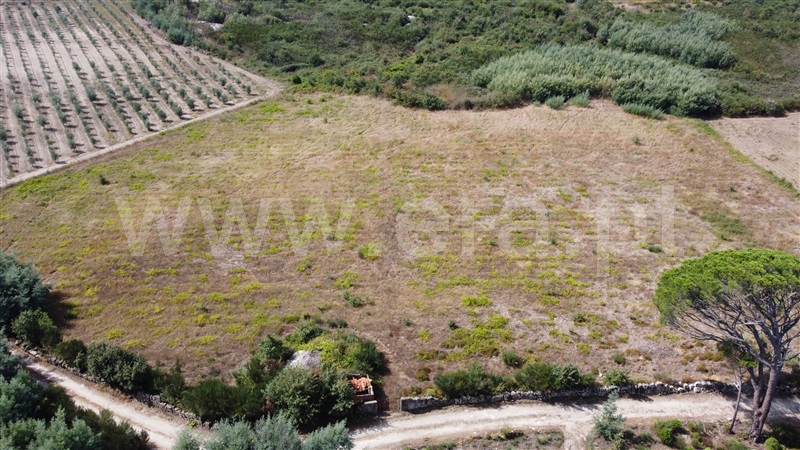 Terreno Rústico  Gouveia, Moimenta da Serra e Vinhó - 1338527 - 5