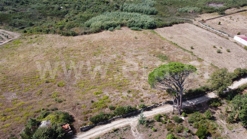 Terreno Rústico  Gouveia, Moimenta da Serra e Vinhó - 1338527 - 6