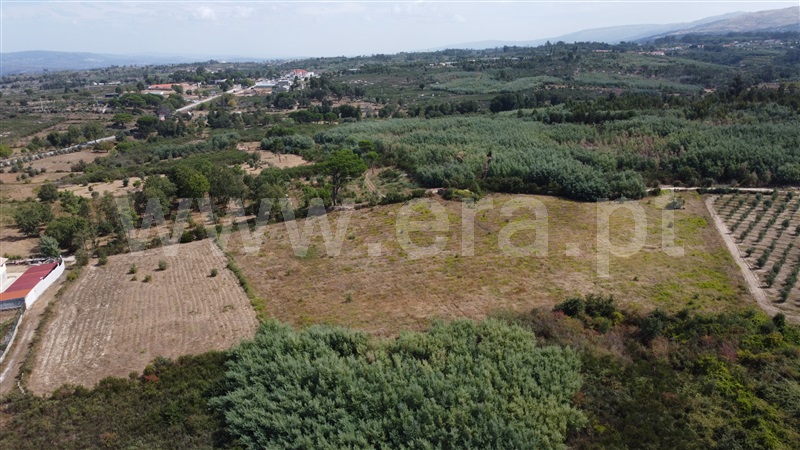 Terreno Rústico  Gouveia, Moimenta da Serra e Vinhó - 1338527 - 7