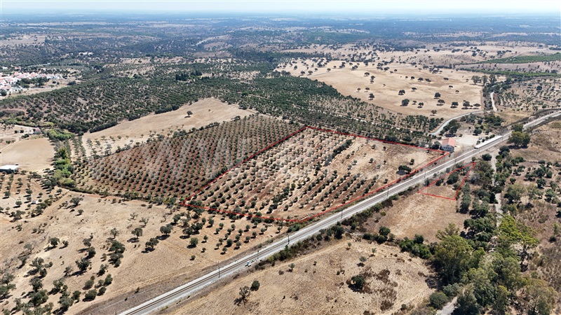 Terreno Rústico / Grândola, Azinheira dos Barros e São Mamede do Sádão