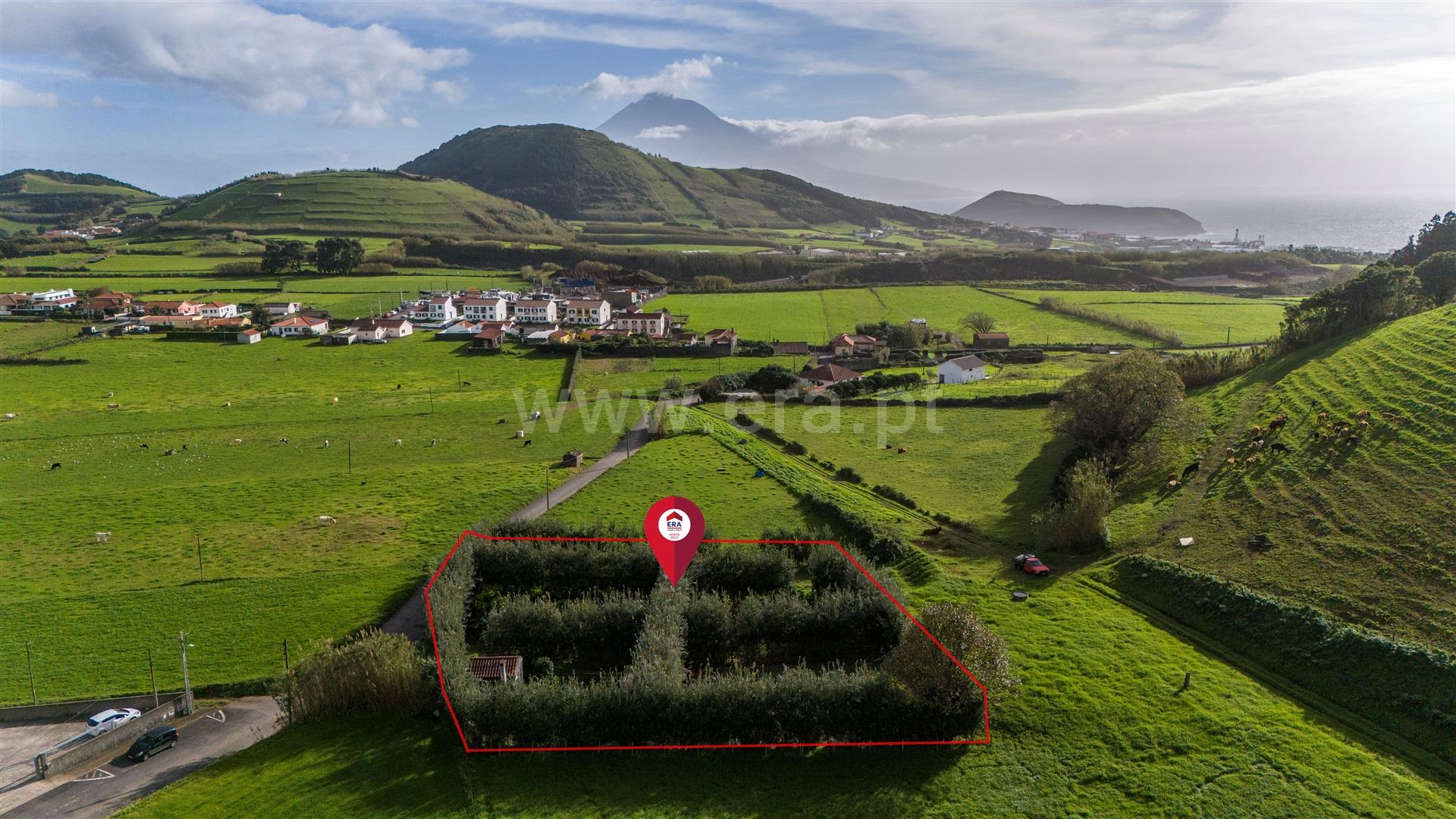 Terreno em Horta