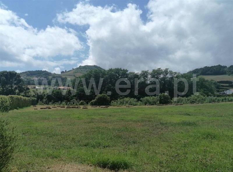 Terreno Rústico / Horta, Horta (Conceição)