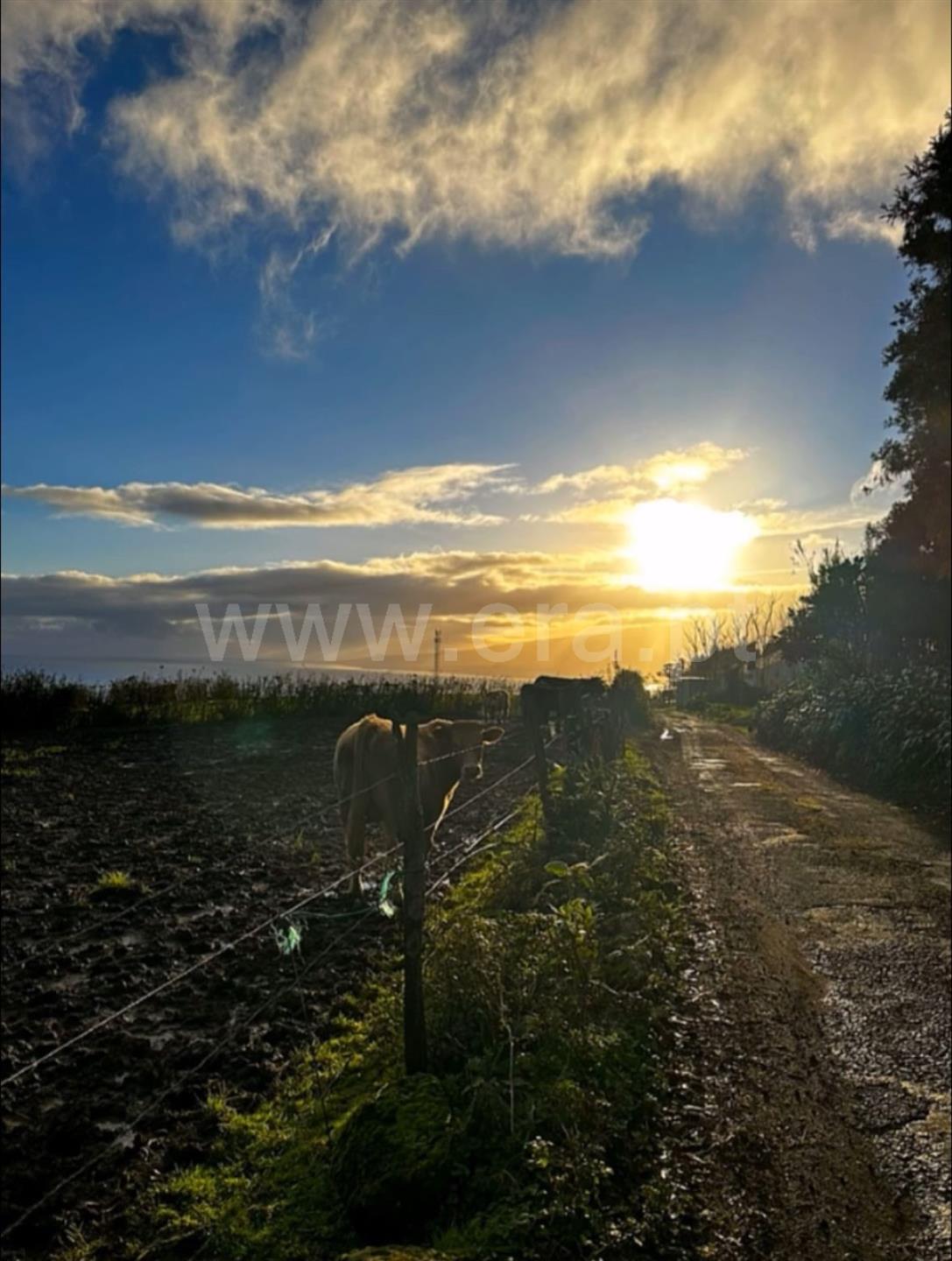 Land for sale in Horta, Portugal — €74,000