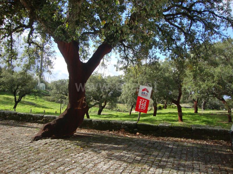 Terreno Rústico / Idanha-a-Nova, Monsanto