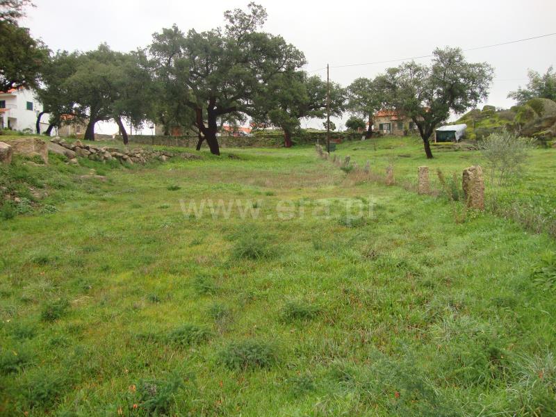 Terreno Rústico  Idanha-a-Nova, Monsanto - 710400 - 7