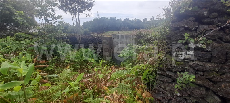 Terreno Rústico  com Rústico Lagoa (São Miguel), Lagoa - 1373531 - 10