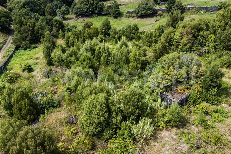 Terreno Rústico  Lagoa (São Miguel), Lagoa (Nossa Senhora do Rosário) - 1498205 - 3