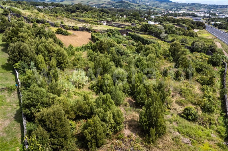 Terreno Rústico  Lagoa (São Miguel), Lagoa (Nossa Senhora do Rosário) - 1498205 - 4