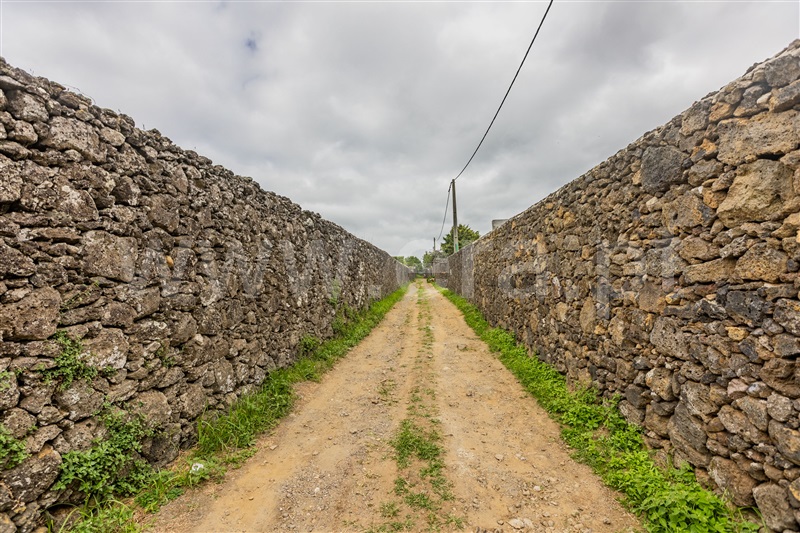 Terreno Rústico  Lagoa (São Miguel), Lagoa (Nossa Senhora do Rosário) - 1506055 - 8