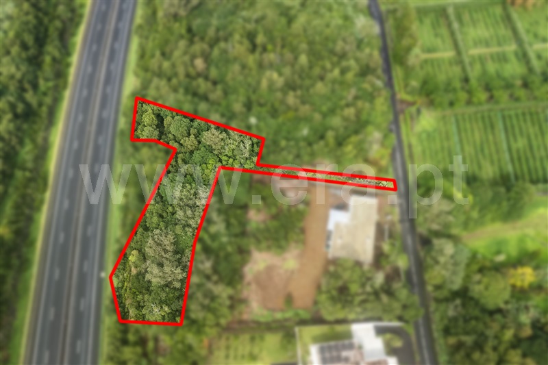 Terreno Rústico / Lagoa (São Miguel), Lagoa (Nossa Senhora do Rosário)