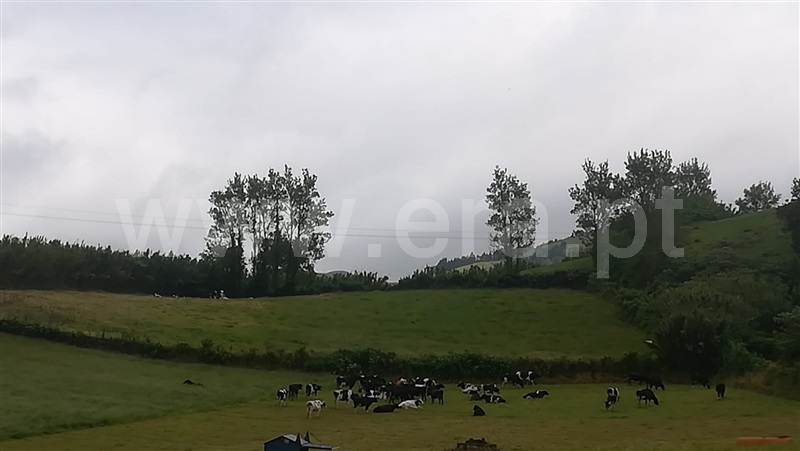 Terreno Rústico  Lagoa (São Miguel), Lagoa - 1075891 - 1