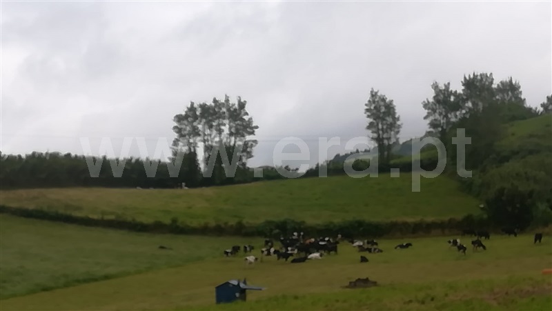 Terreno Rústico  Lagoa (São Miguel), Lagoa - 1075891 - 9